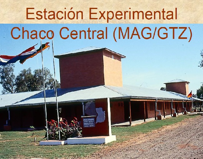 Proyecto estación experimental Chaco Central (informes 1990 2004)